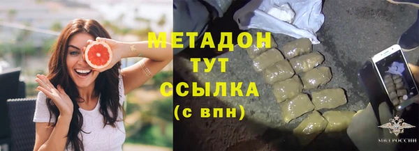 сатива Верея