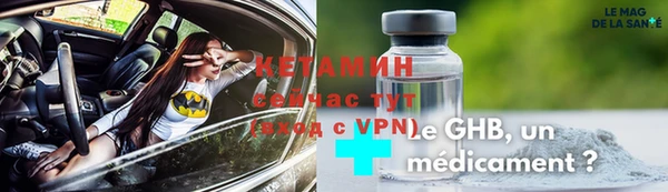 сатива Верея