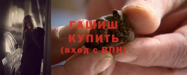 сатива Верея