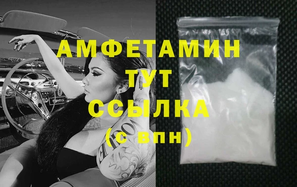 сатива Верея