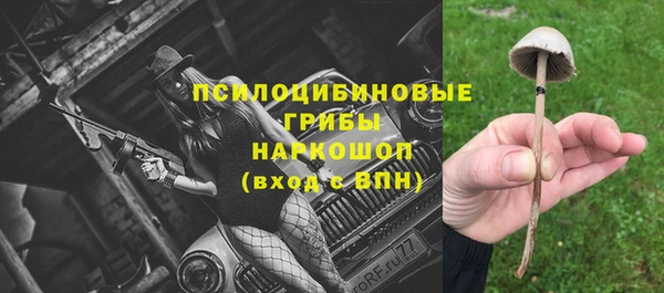 ГАЛЛЮЦИНОГЕННЫЕ ГРИБЫ Бородино