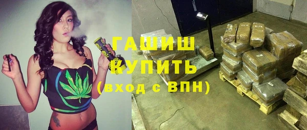 сатива Верея