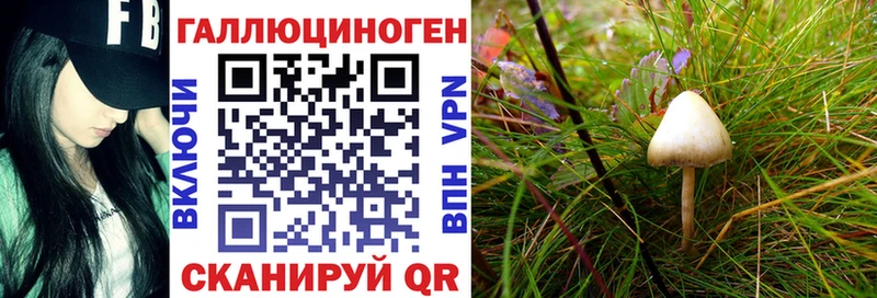 Галлюциногенные грибы ЛСД  Искитим 